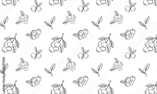 Seamless pattern with hand drawn blueberry on white background