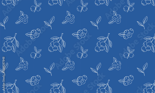 Seamless pattern with hand drawn blueberry on blue background