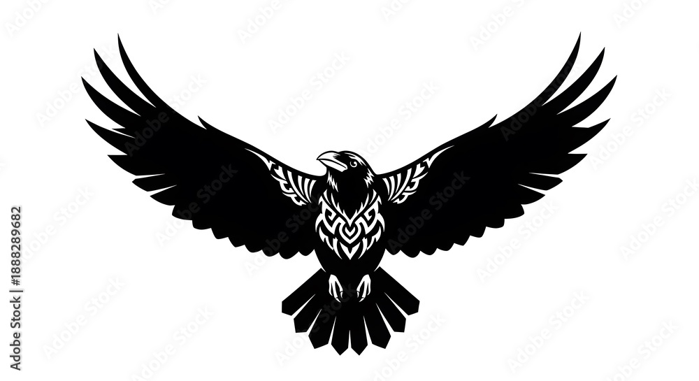 Obraz premium Bold black raven with intricate wing and chest patterns, displayed on a clean white background