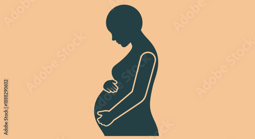 Pregnant Woman Silhouette Gently Holding Her Belly, Expectant and Nurturing