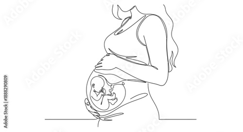 Continuous Line Art of a Pregnant Woman Holding Her Belly with Fetus Inside on Isolated White Background