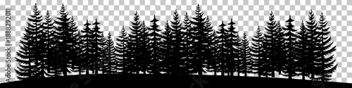 Silhouette of a dense pine forest with numerous evergreen trees against a transparent background, depicting a natural woodland scene.