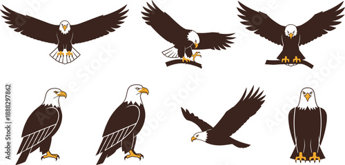 Bald Eagle Collection in Flying and Perched Poses Flat Vector Illustration