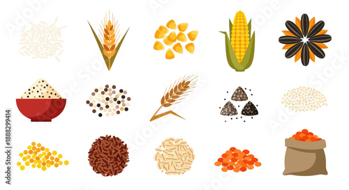 Variety of grains and seeds isolated illustrations for culinary and agriculture