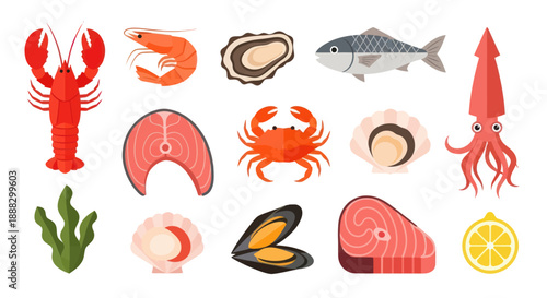 Various seafood illustrations lobster fish shrimp oyster and more elements