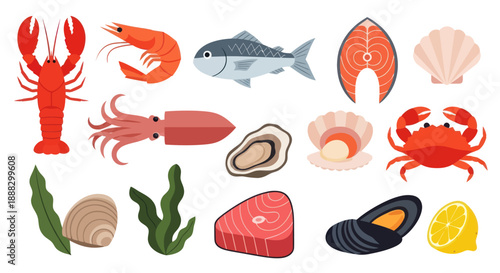 Various seafood illustrations lobster shrimp fish and other marine elements