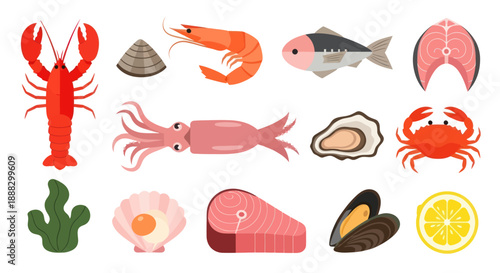 Various seafood illustrations lobster shrimp fish and other marine life
