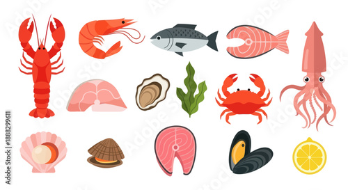 Various seafood illustrations lobster shrimp fish crab oyster and more