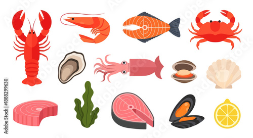 Various seafood illustrations lobster shrimp salmon crab oyster and more
