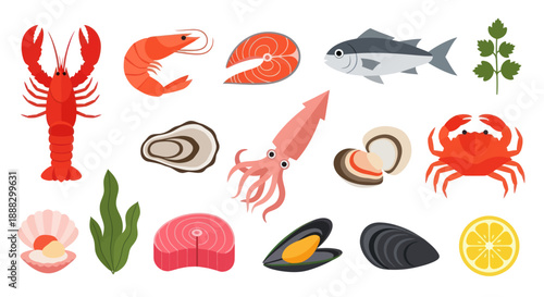 Various seafood items lobster shrimp salmon fish oyster squid crab scallop vector