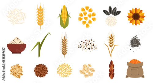 Various seeds grains and crops vector illustration isolated on white