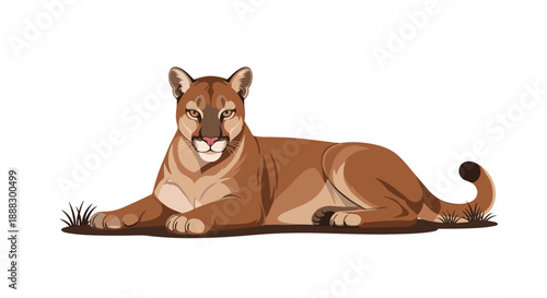 A cougar resting on grass, depicted in a realistic illustration style, highlighting its natural habitat and predatory essence.