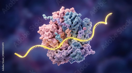 3D illustration of ribosome complex with yellow mRNA strand during protein synthesis
