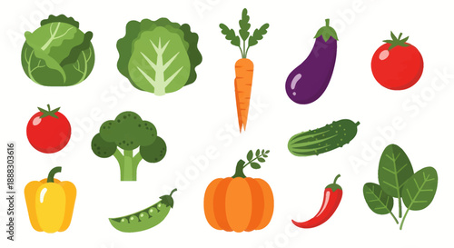 Colorful vector illustration of various fresh vegetables for healthy eating