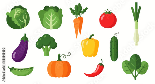 Colorful vector illustration of various fresh vegetables on white background