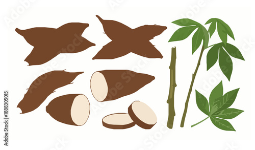 Cassava root and leaves collection flat vector illustration isolated