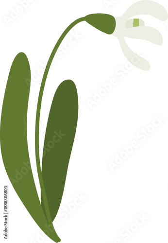 Snowdrop Bending Bloom Cartoon