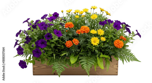 Vibrant flower box with purple and yellow blooms