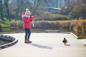 A young girl in a warm winter outfit taking a photo of a duck on a wooden pathway in a park near the water.