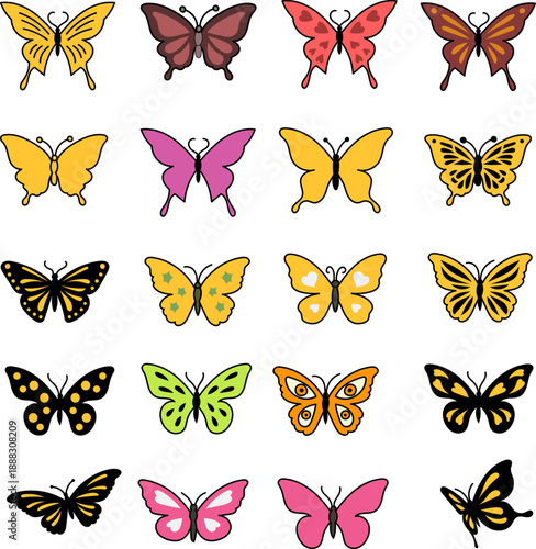 나비디자인