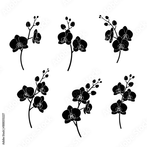 Elegant black orchid silhouettes set for decorative floral design projects, perfect for invitations, logos, and botanical illustrations