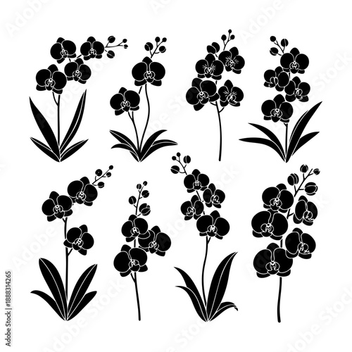 Beautifully illustrated black orchid flowers in various elegant poses, perfect for decorative use