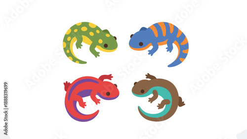 Colorful Cartoon Salamanders and Newts Set - Flat Design Amphibian Vector Collection