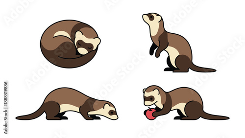 Set of Cute Cartoon Ferrets in Different Poses: Sleeping, Standing, Sniffing, and Playing. Adorable Pet Animal Illustrations