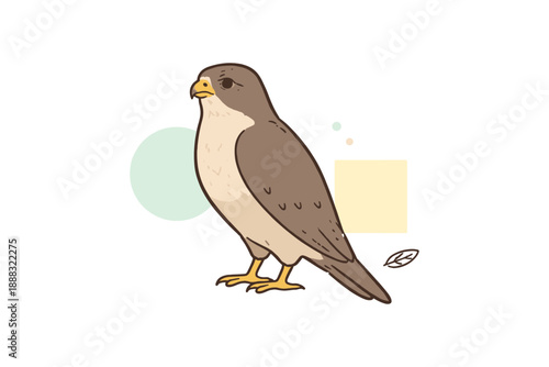 Illustrated falcon with minimalist geometric background