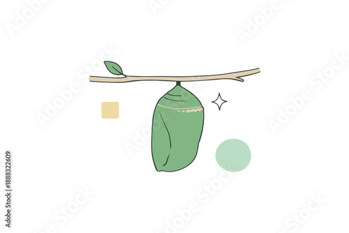 Illustrated green chrysalis hanging on twig with minimalist design elements