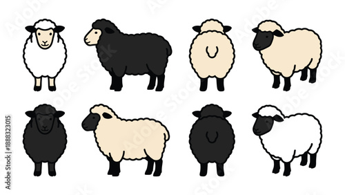 Sheep Illustration: Black and White Woolly Farm Animals