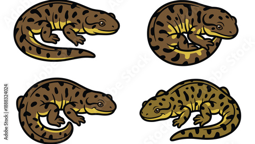 Newt Illustration Set: Spotted Amphibian in Various Poses
