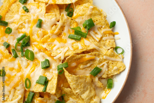 A top down view of a plate of dairy-free nachos.