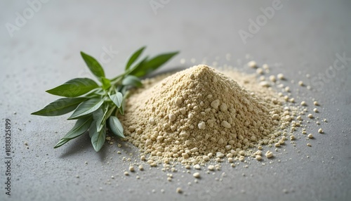 Nutritious herbal powder with fresh green leaves on a textured grey surface. sage powder