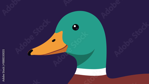 Close-up illustration of a mallard duck head with green iridescent feathers