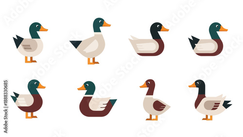 Cute Duck Illustrations: Set of 8 Cartoon Mallard Characters