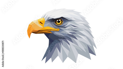 Eagle Head Portrait, Majestic Bird of Prey, Fierce Gaze, White Background