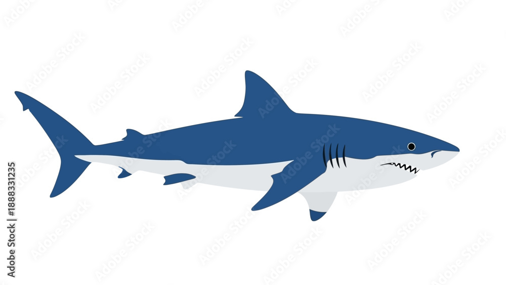 Fototapeta premium Great White Shark Illustration - Ocean Predator
