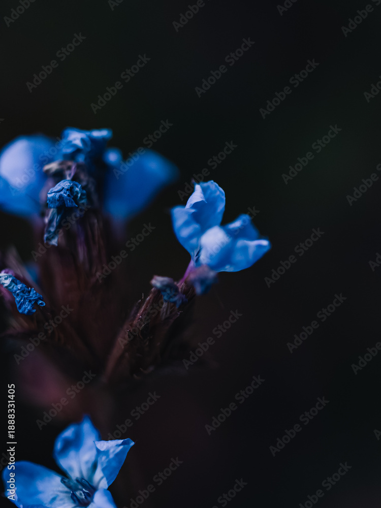 custom made wallpaper toronto digitalblue flower