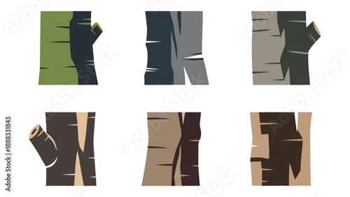 Set of Six Different Tree Bark Textures in Various Colors