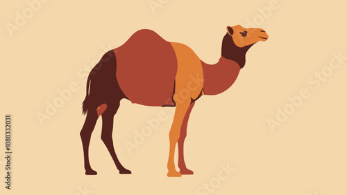 Stylized Camel Illustration in Desert Colors