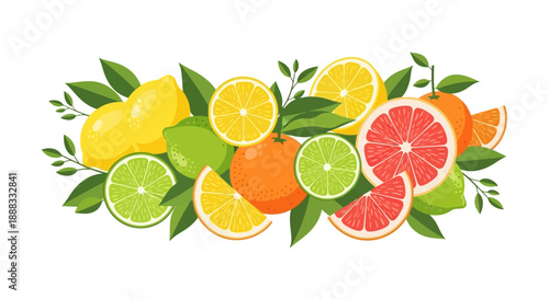 A colorful hand-drawn illustration of various tropical fruits, including citrus slices and leaves, arranged in a pattern against a clean white background.