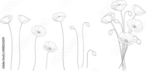 ポピーの花束　線画セット