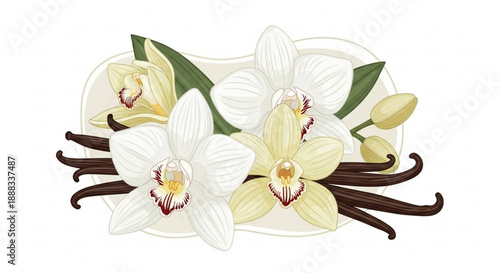 White orchid flowers with vanilla beans on white background floral arrangement with green leaves and buds