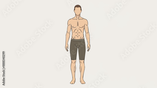 Anatomical illustration of a fit male body showing muscles.