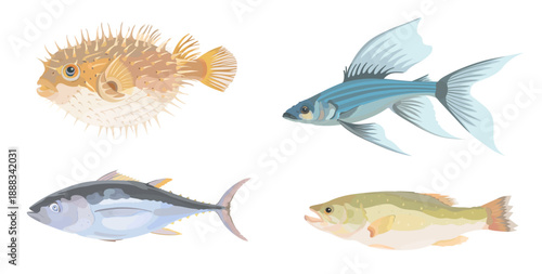 Cute cartoon Atlantic bonito fish, pinefish, perch and flying Fish. Vector hand drawn illustration isolated on white background. Marine icon set.