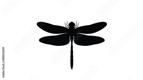 A striking black dragonfly design against a white background silhouette