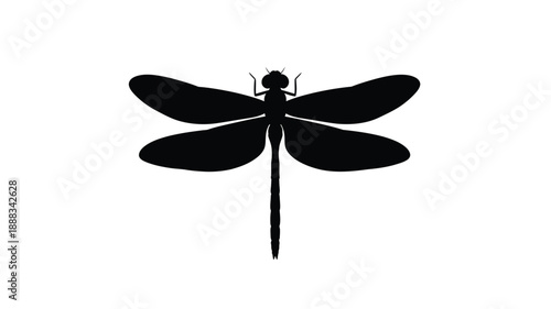 A striking black dragonfly form against a white background silhouette