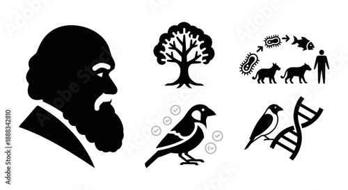 Black and white icons illustrating Charles Darwin's theory of evolution, including his portrait, the tree of life, natural selection, and DNA.