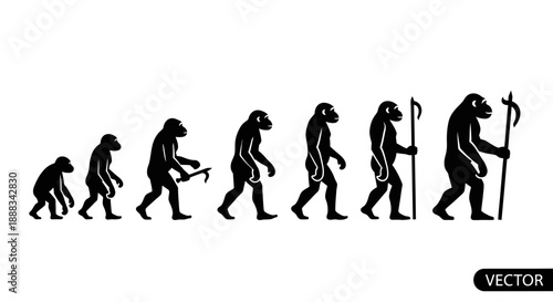 Black and white vector illustration depicting the evolutionary stages of human development from ape-like ancestors to modern man.